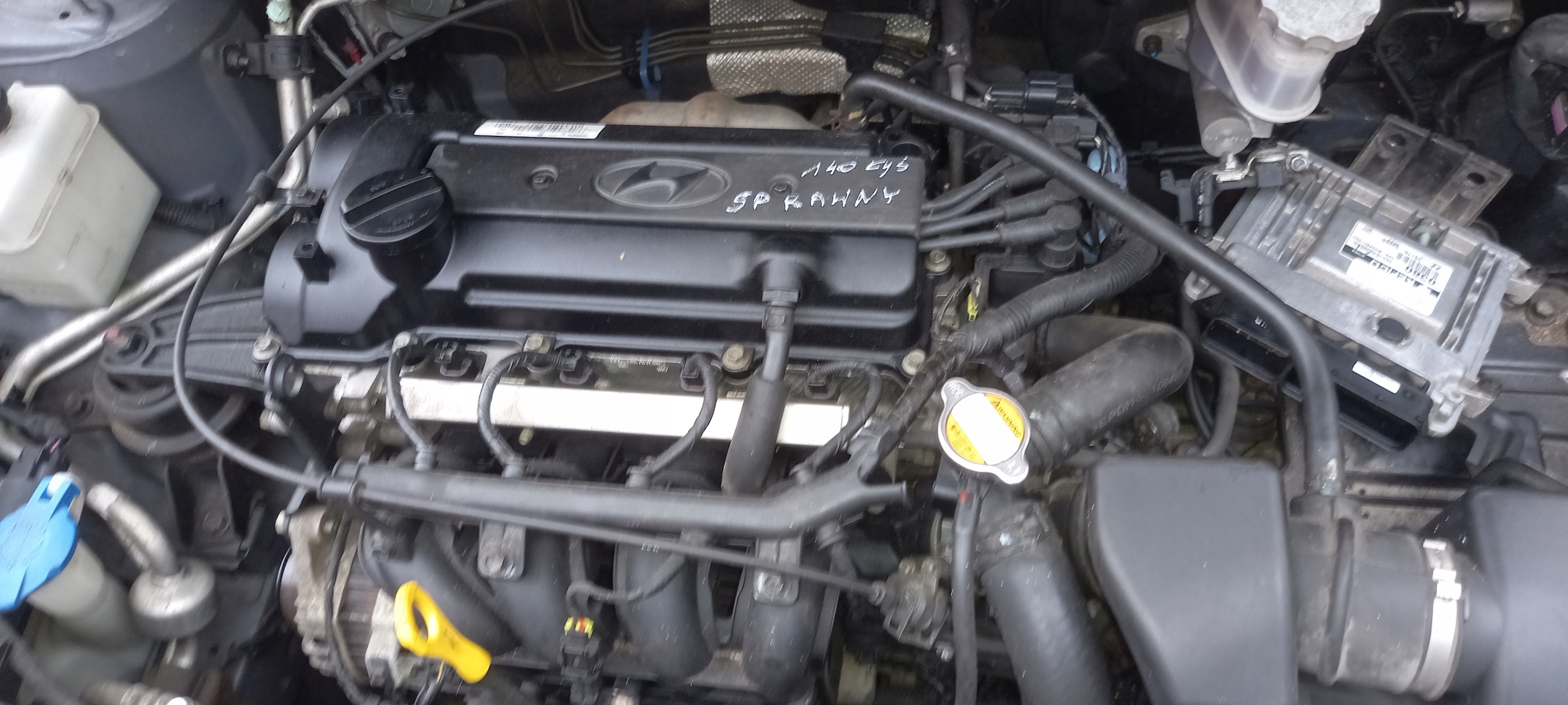 Motore completo Hyundai i10 i20 Kia 1.2 16V G4LA 140mila km