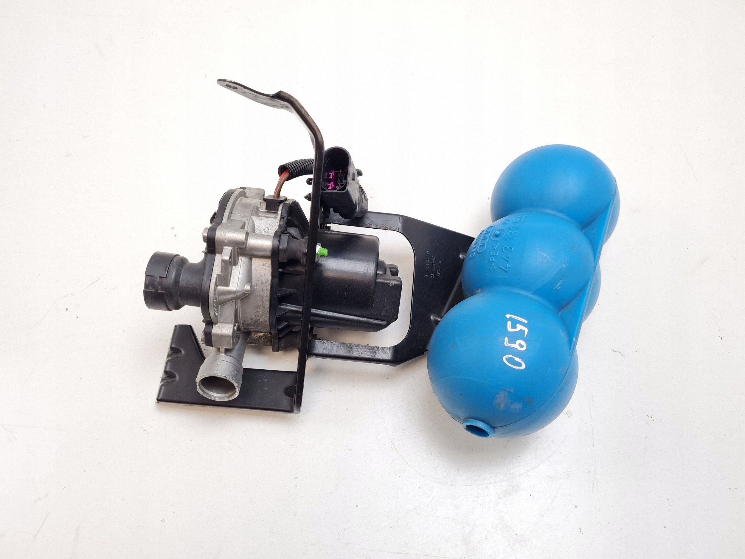 Bentley Flying Spur sekundärluftpump OEM 4W0131035A image 2