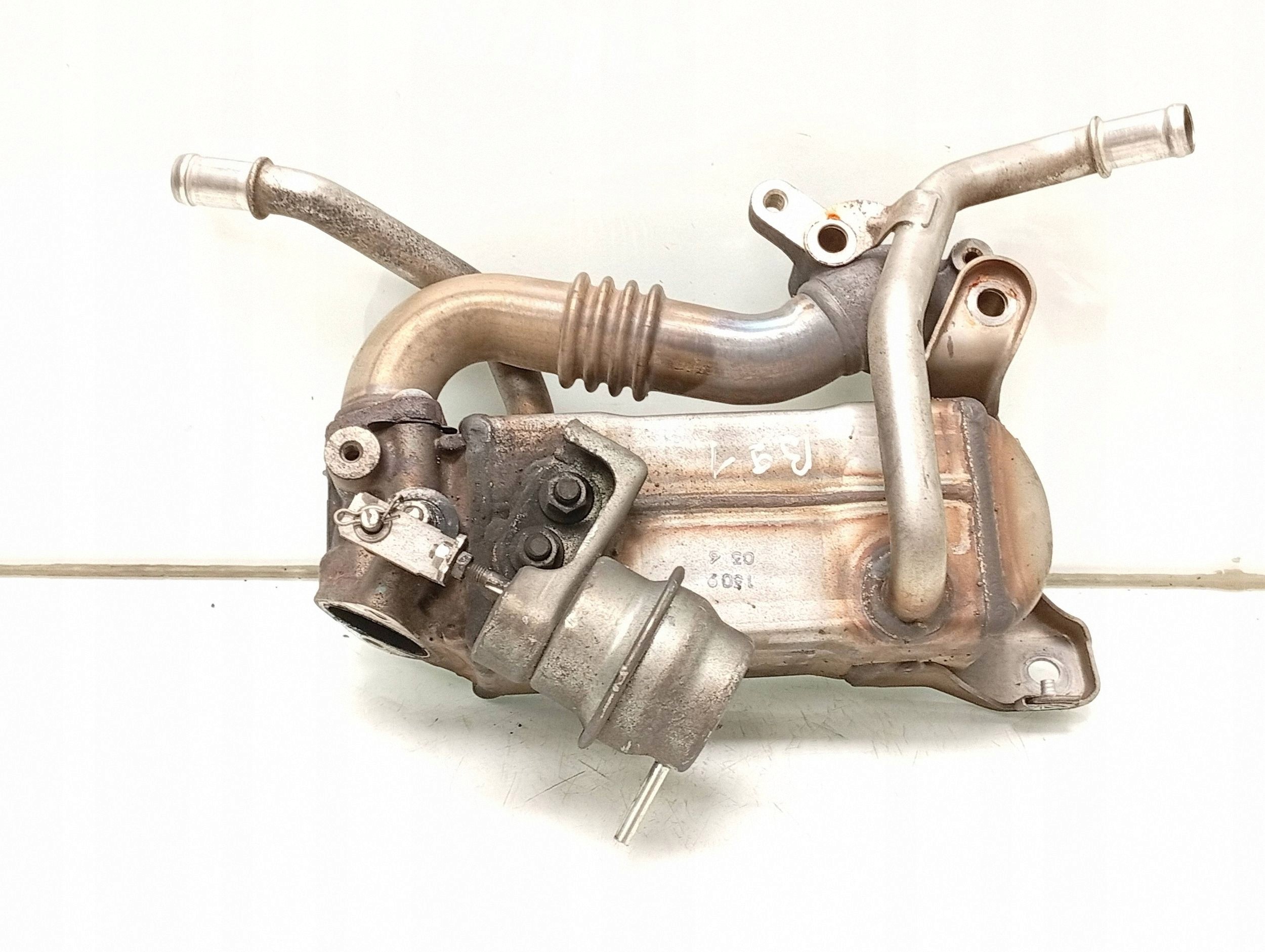 Refroidisseur d'échappement OPEL ASTRA J 1.7CDTI 55576871 image 3