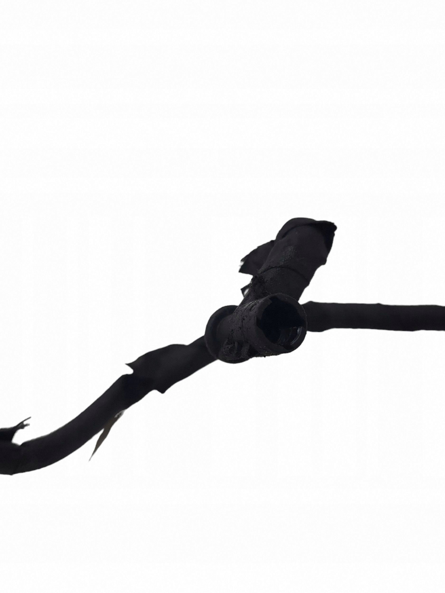 Sytytysjohdot OEM 66167 Peugeot 407:lle image 4