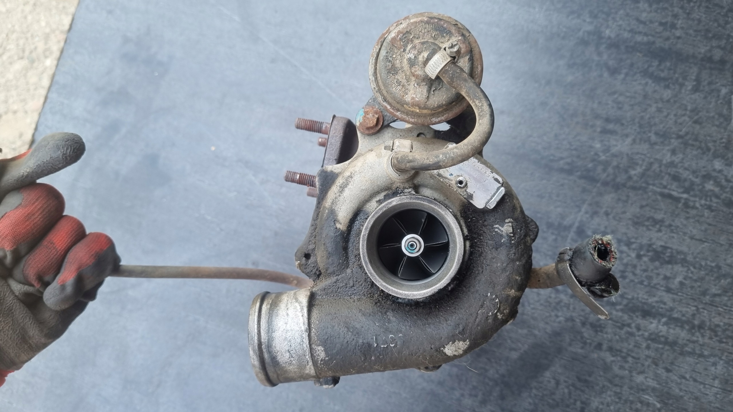 Turboahdin OEM 504154738 Iveco Daily III 2.29L:lle