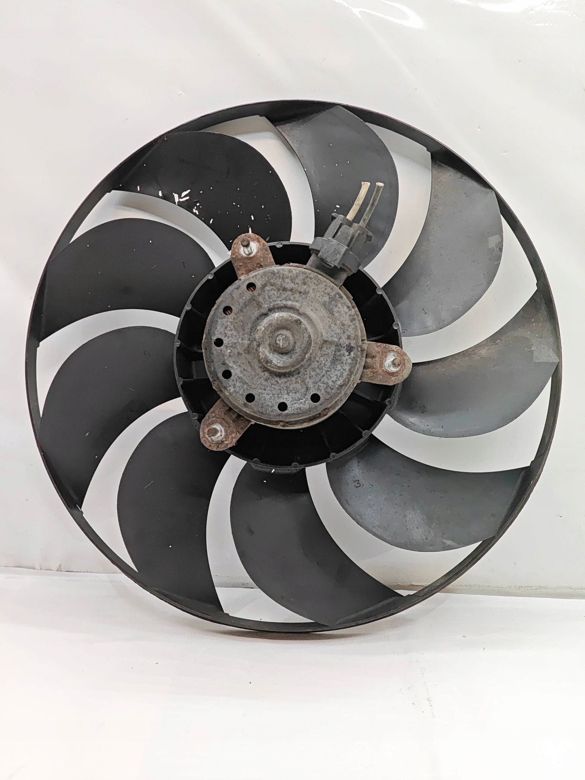 OEM 5393199 Front Belt for Nissan Qashqai II 1.5L Diesel