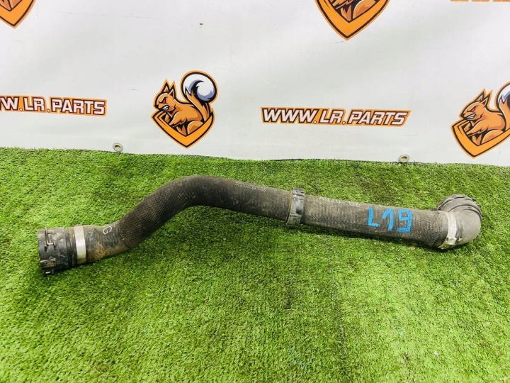 Tubo superiore radiatore Land Rover Discovery 5 L462 NPLA-8260-AB