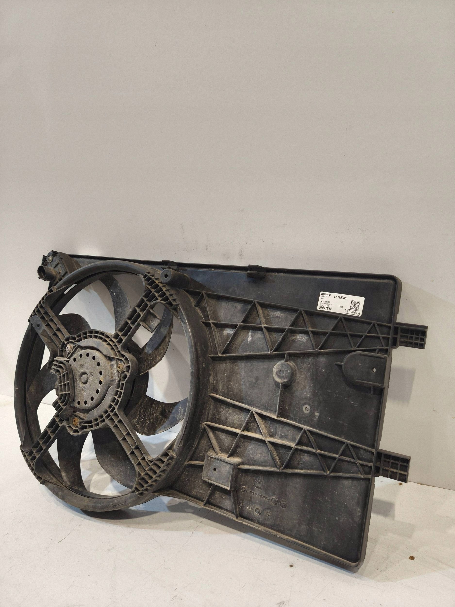Front Belt OEM EE802002 for Fiat Fiorino 1.3L Diesel