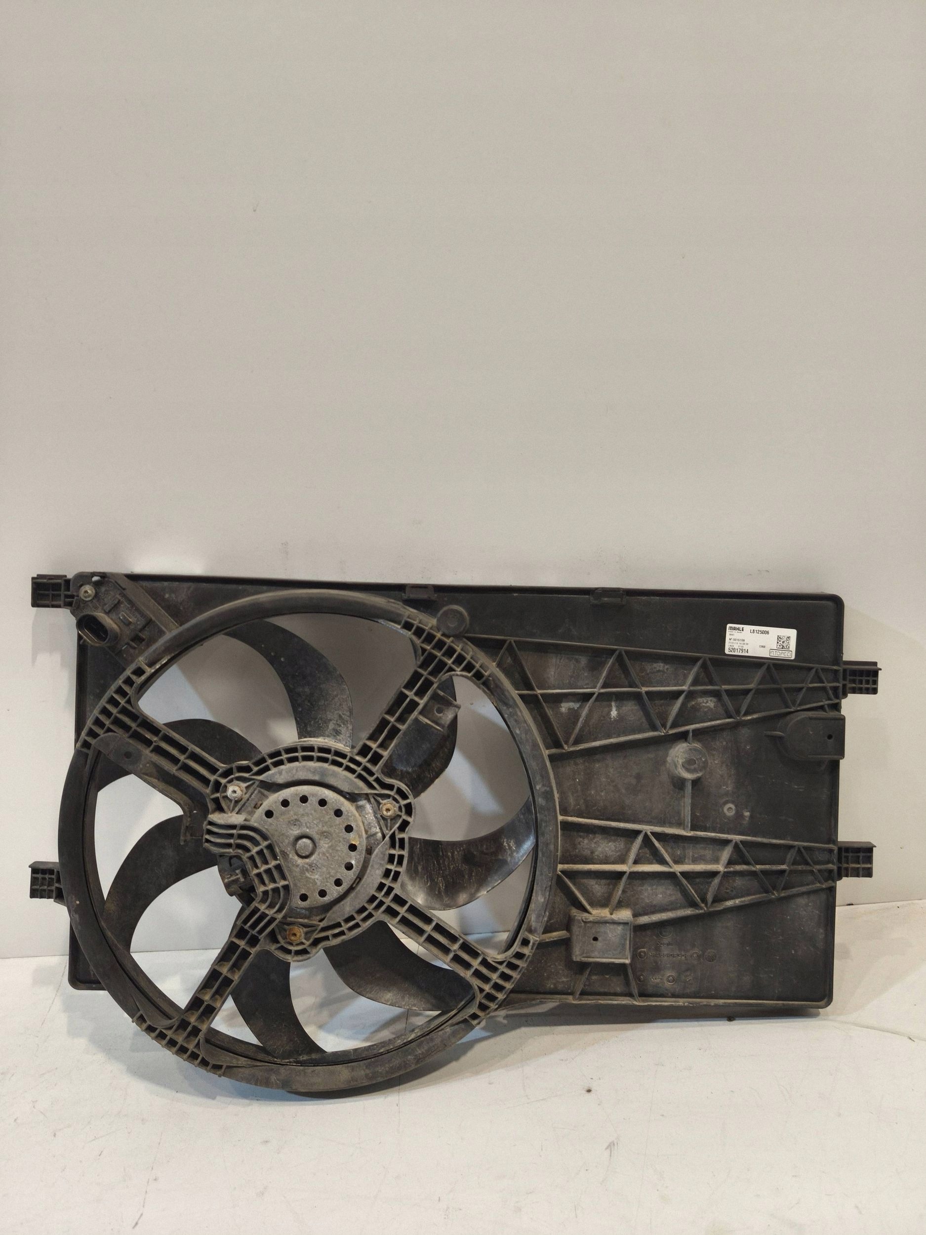 Vorderer Riemen OEM EE802002 für Fiat Fiorino 1.3L Diesel image 5