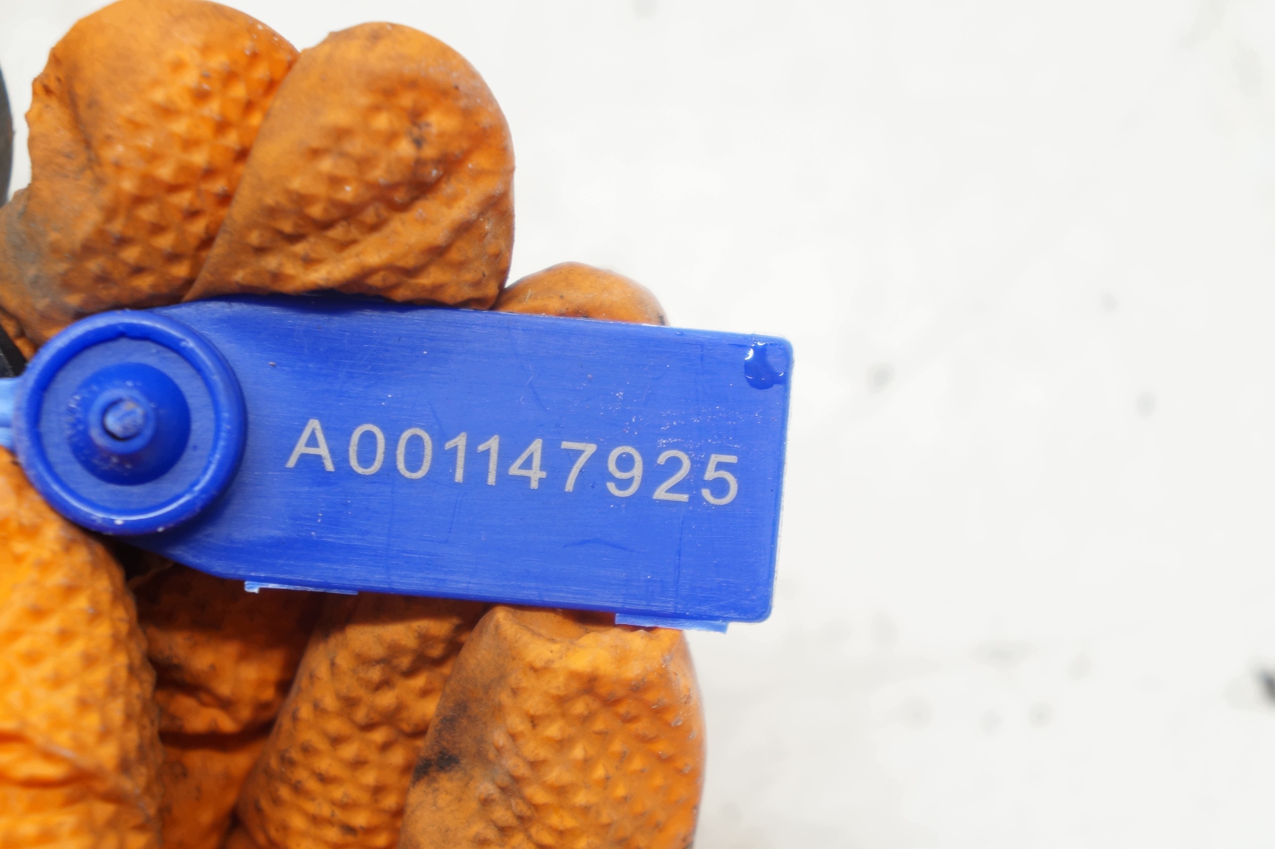 Uitlaatdruksensor Mazda 3 II 1.6 MZR-CD 3M5A-5L200-AB image 5