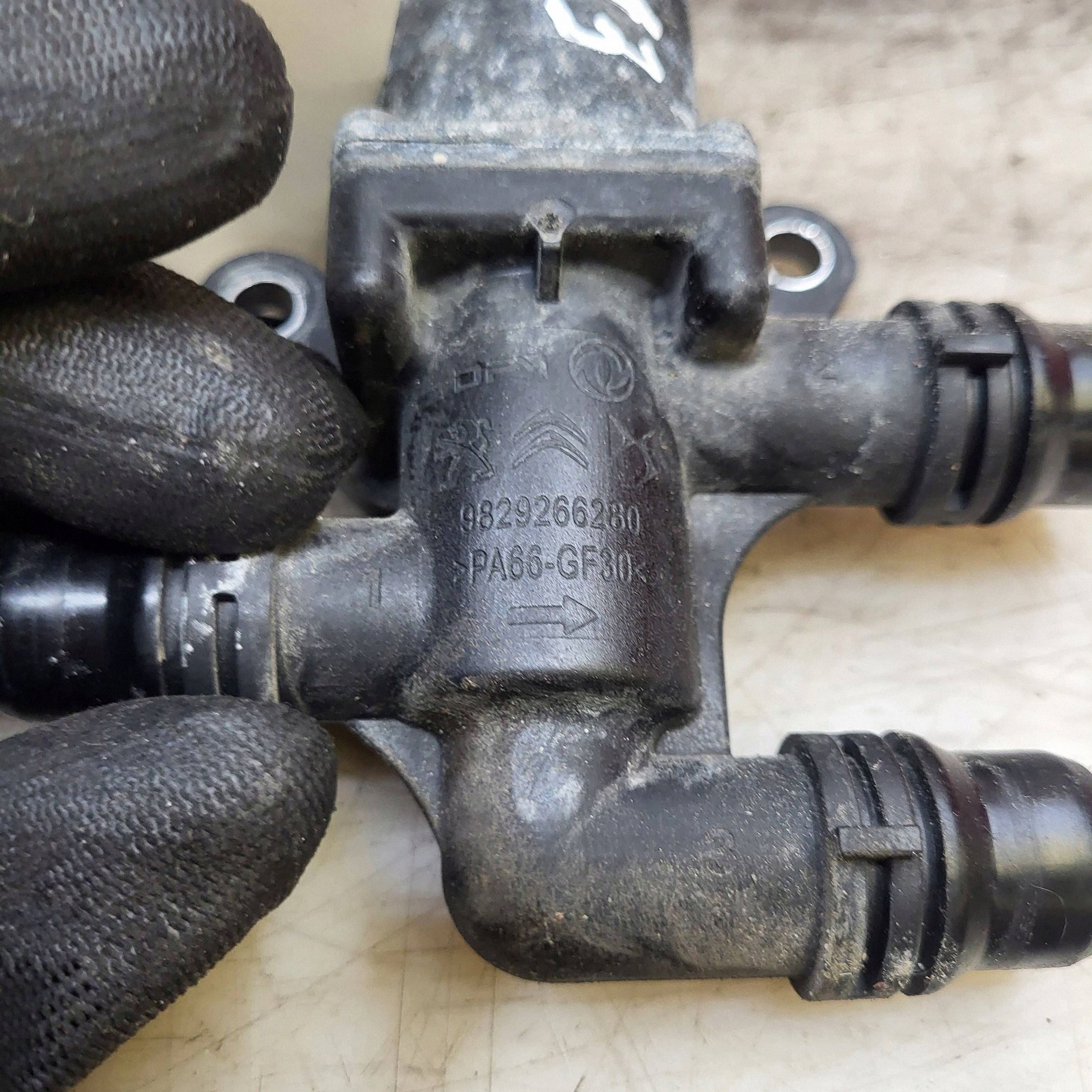 Pompe à eau Citroen OEM 9829266280 pour C4 III e-C4 image 6