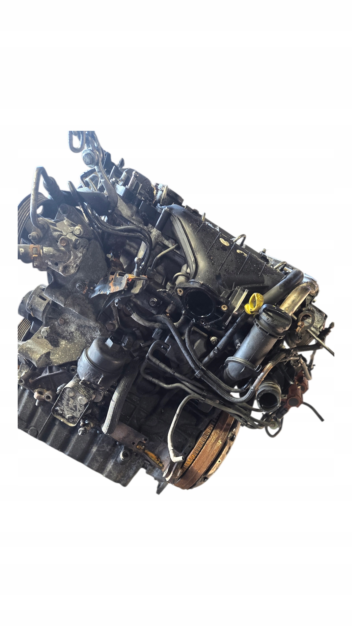 Käytetty QXBA 2.0 TDCI 140hv Diesel-moottori Fordille