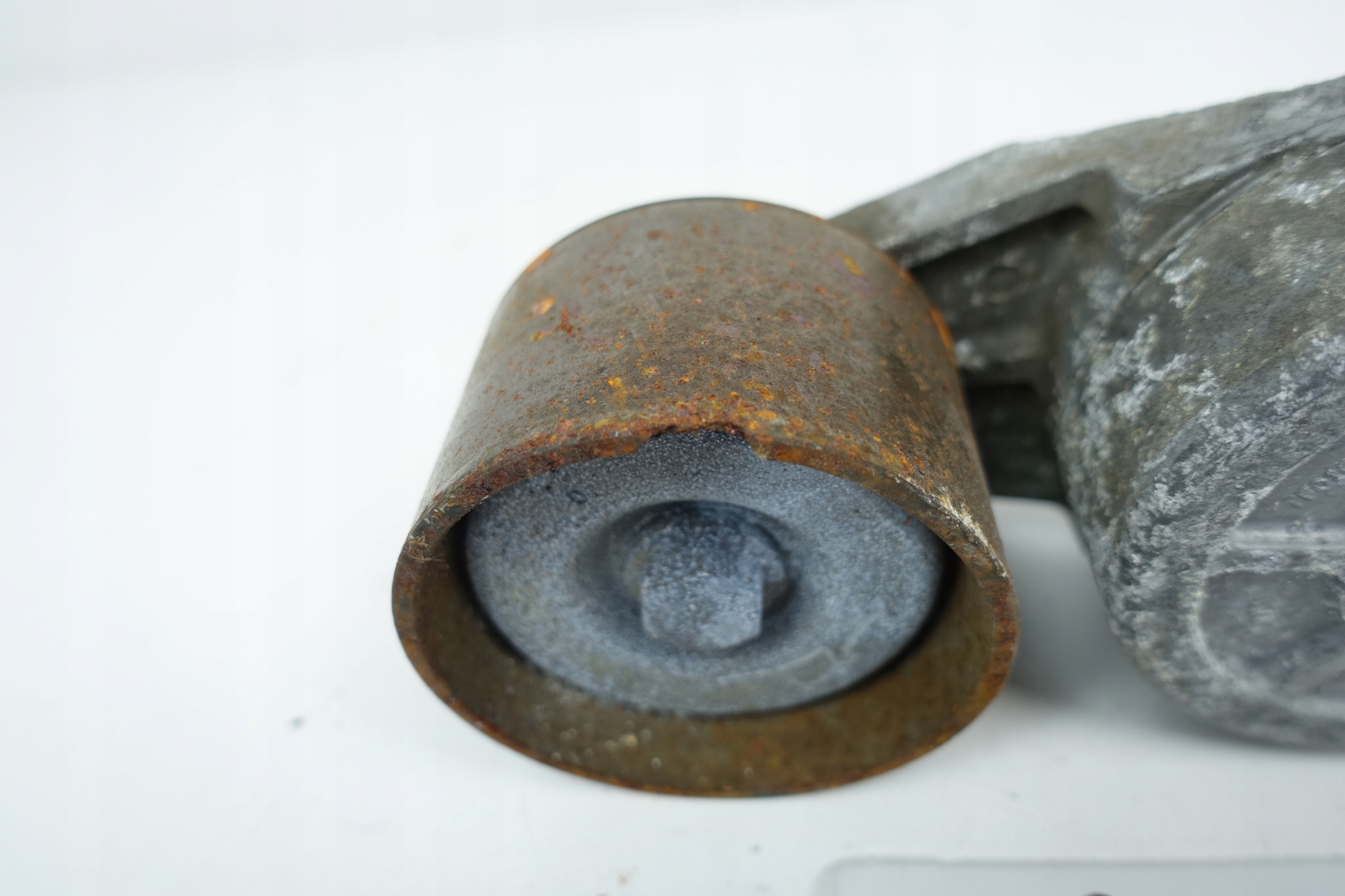 Rolo tensor de correia OEM 504387130 image 3