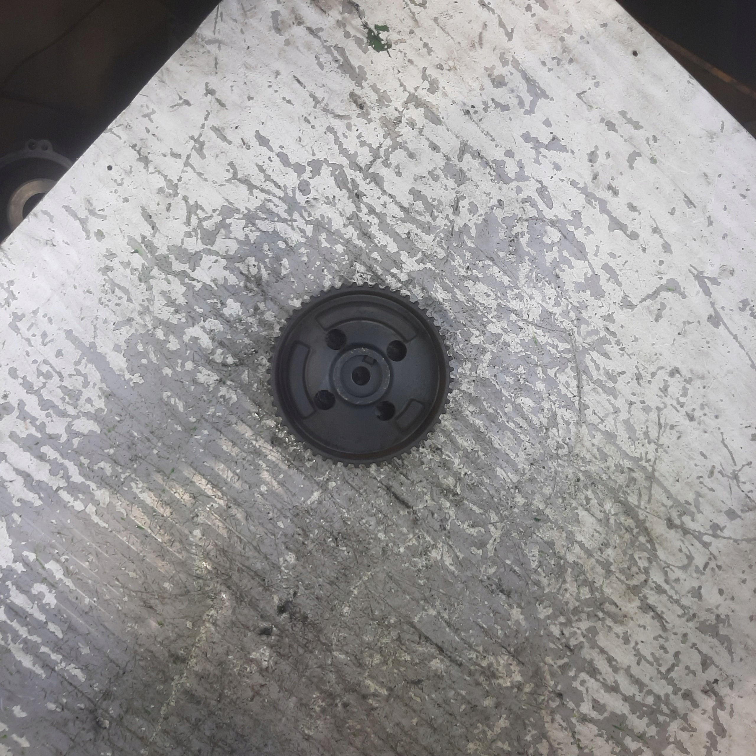 Poulie d'arbre à cames OEM 55265285 Alfa Romeo Giulia