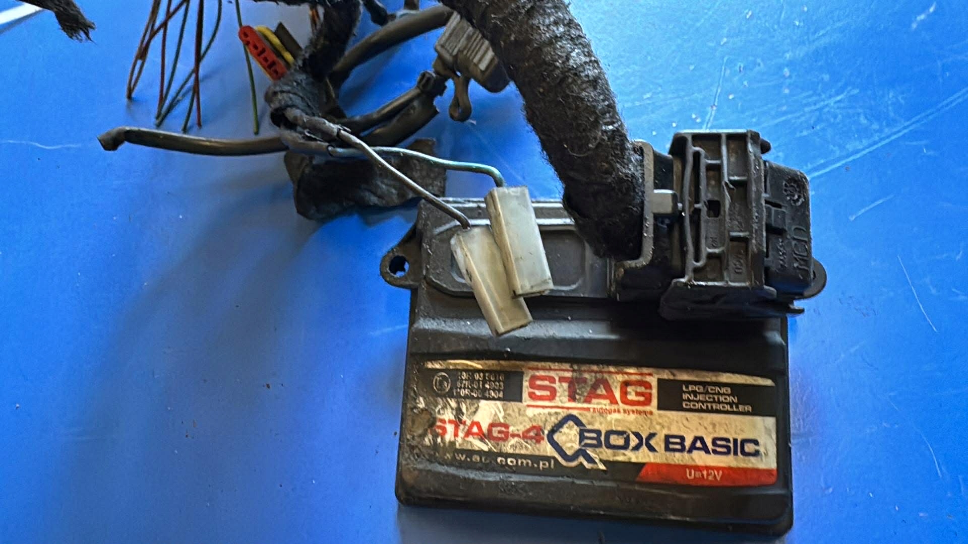 Faisceau AC STAG-4 QBOX BASIC W2L-21304-Q-BASIC3 image 5
