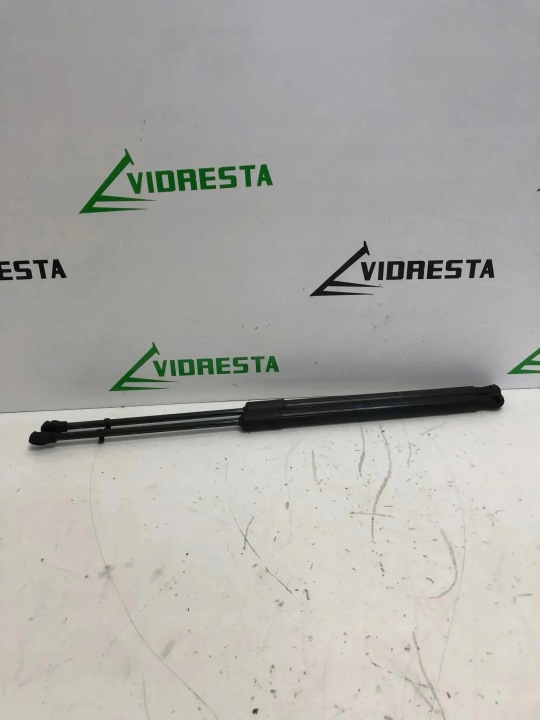 Vasen takaluukun avaaja RENAULT 904508213R 1.6L 2024