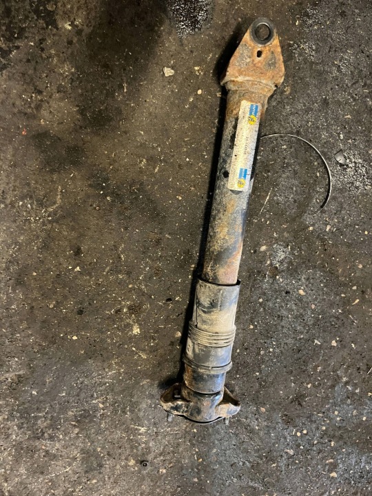 Rear Shock Absorber Mercedes-Benz R W251 24144896