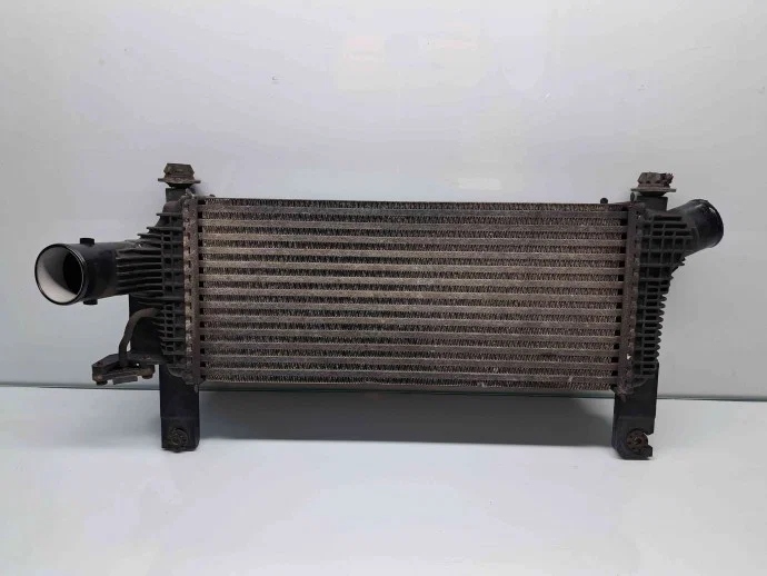 Intercooler Nissan Navara (D40) [Baujahr 2005-2014] 14461-5X00A 2.5 DCi YD25DE image 2