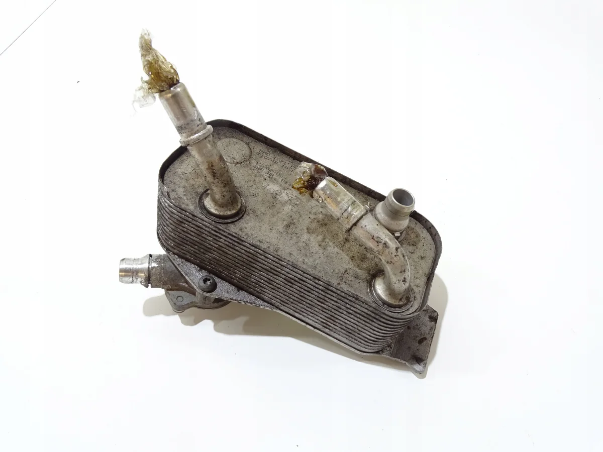 BMW 7551647 Radiatore Motore Usato image 2