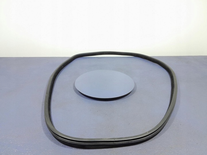 BMW X6 F16 14- Dichtung Tür hinten links 7317822