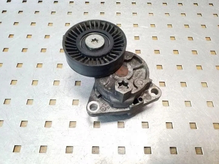 Spannrolle Keilrippenriemen Hyundai Terracan 2.9 CRDi image 2