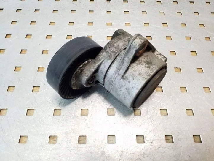 Spannrolle Keilrippenriemen Hyundai Terracan 2.9 CRDi image 3