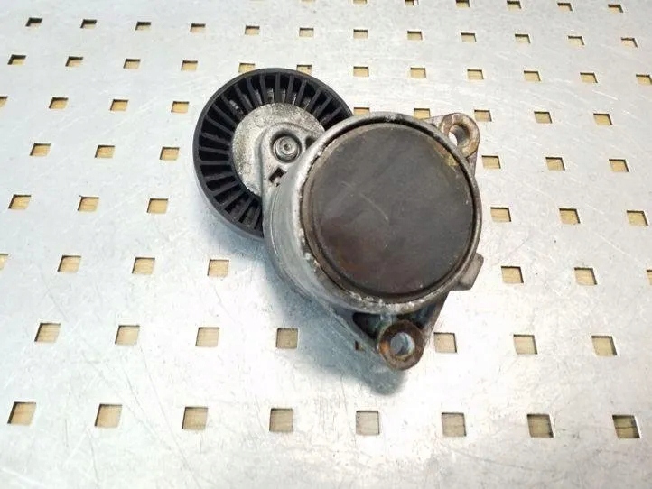Spannrolle Keilrippenriemen Hyundai Terracan 2.9 CRDi image 4