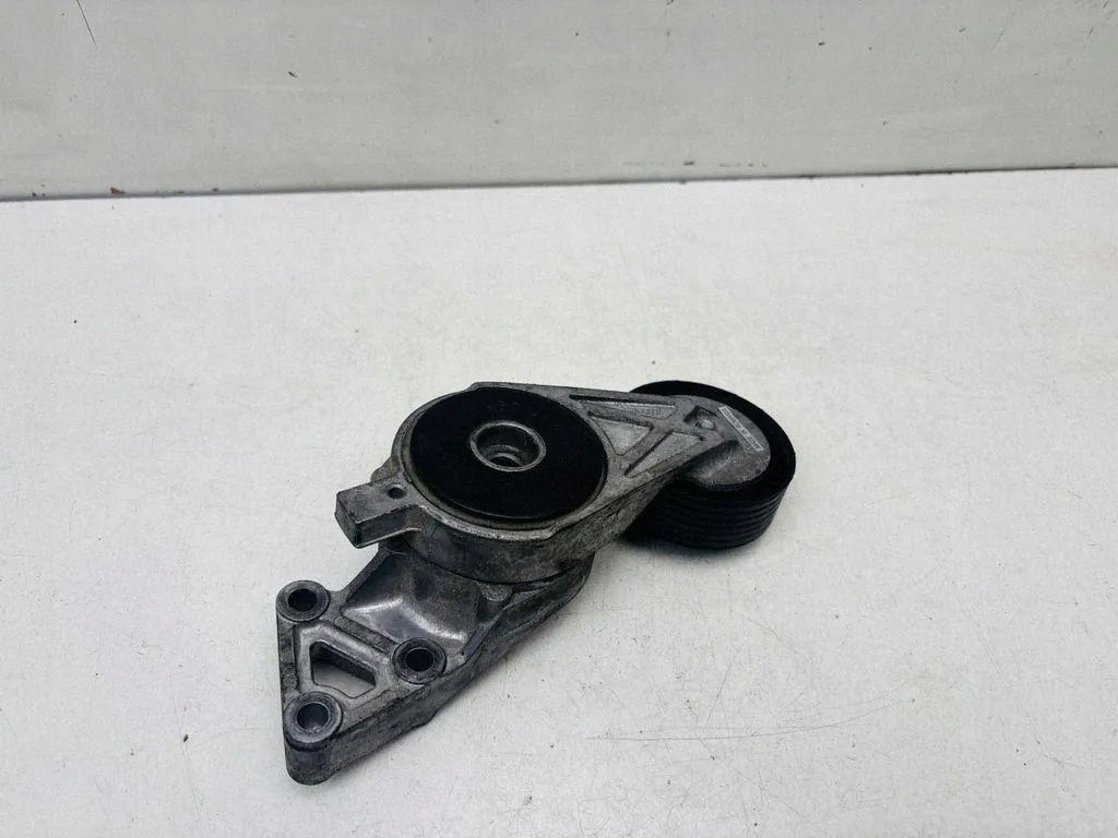 Tenditore cinghia alternatore Audi A3 8L1 950414 image 2