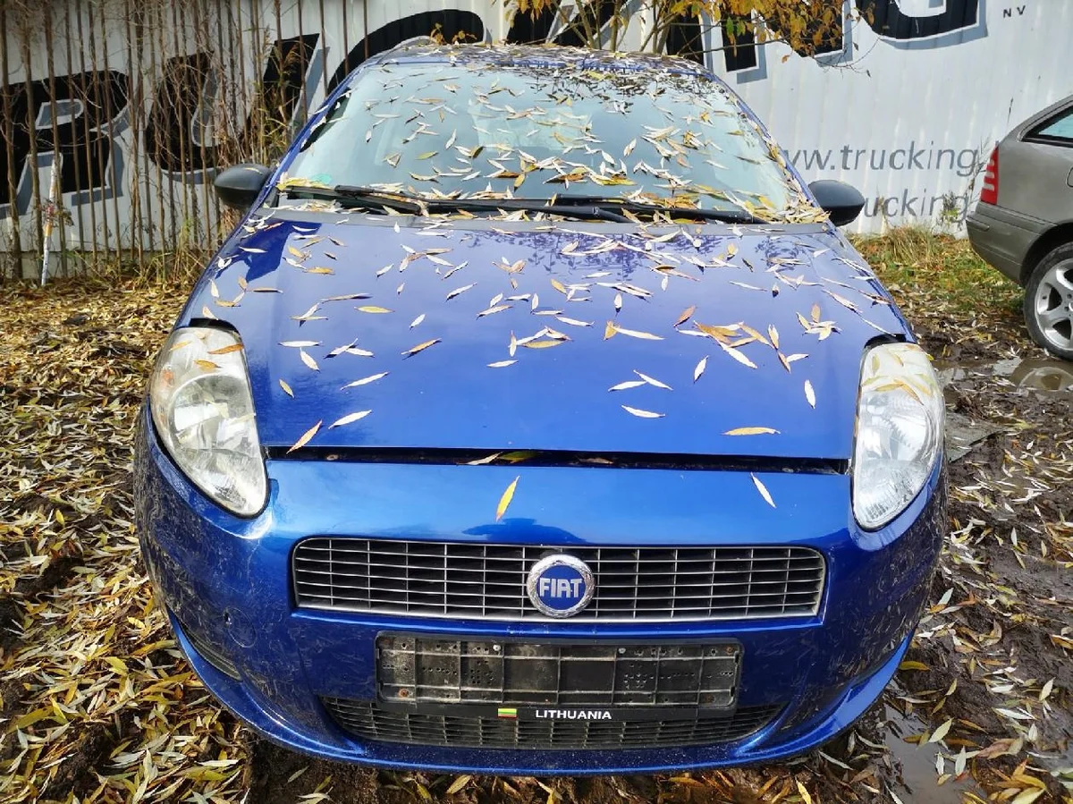 Fiat Punto Reostaatti (EIS1801729) image 5