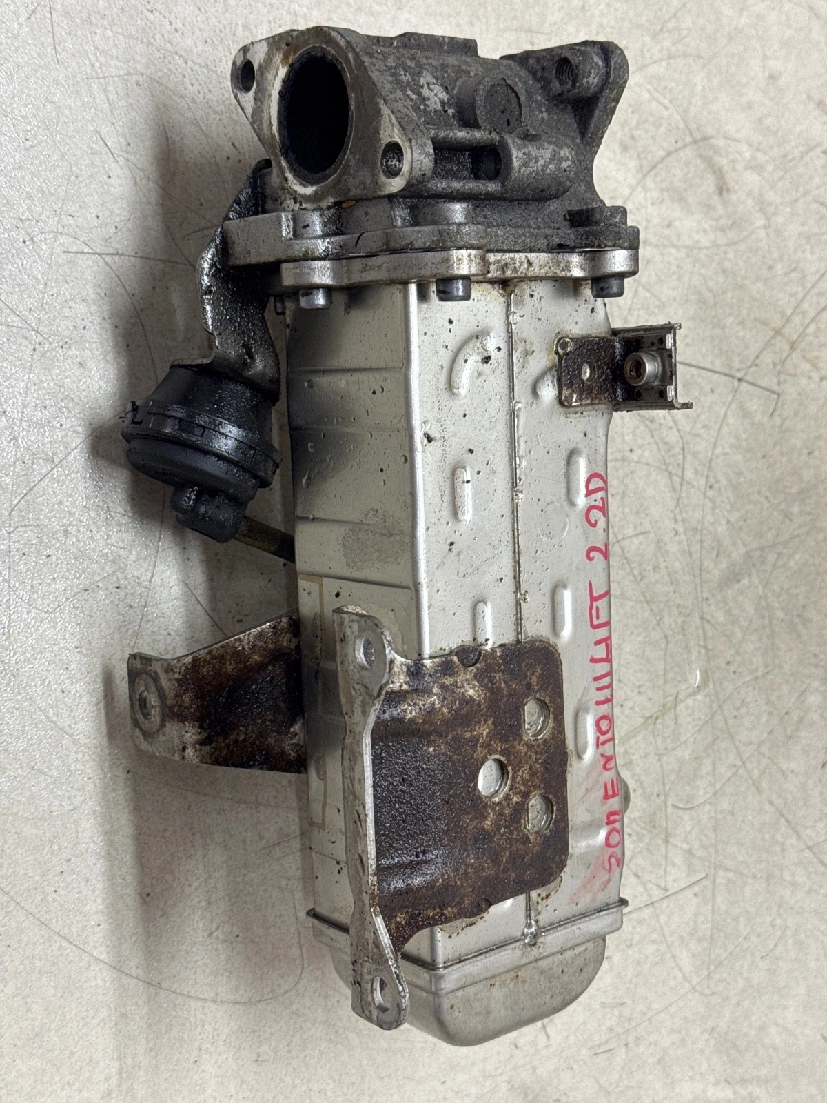 Kühler AGR für Kia Sorento III 2.2D image 7