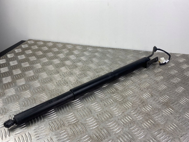 2019 Hyundai Santa Fe Tailgate Lift Support 81841S110