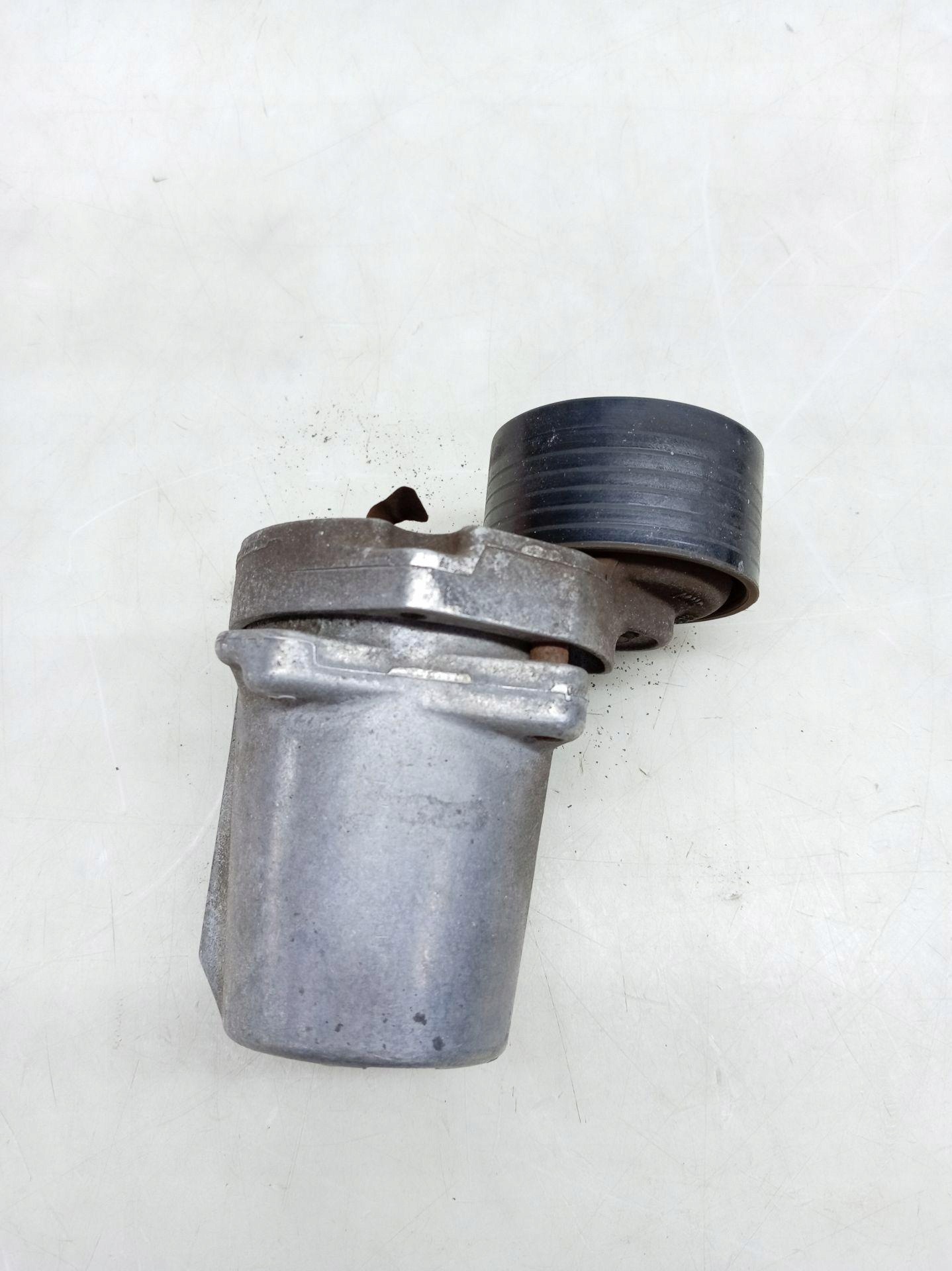 Febi Bilstein 30440 Tensor Correa Poli-V Usado image 5