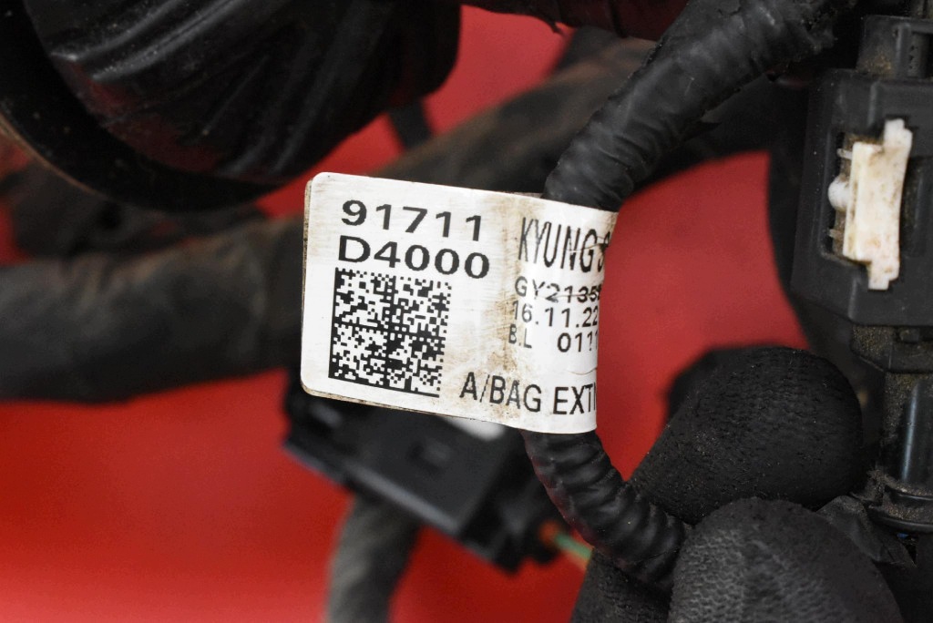 Cableado Motor Kia Optima IV 2.0 GDI Hybrid image 8