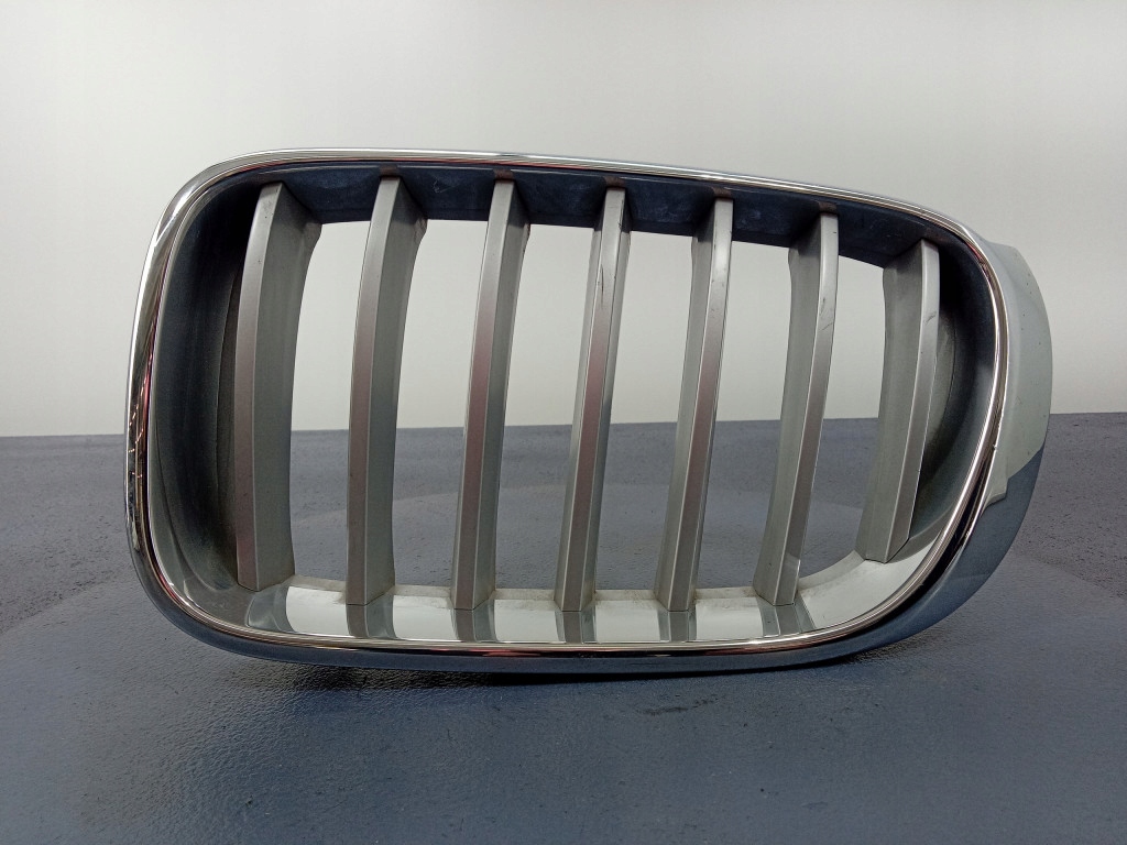 Grade BMW X3 F25 Esquerda OEM A-803112-7237421 image 2