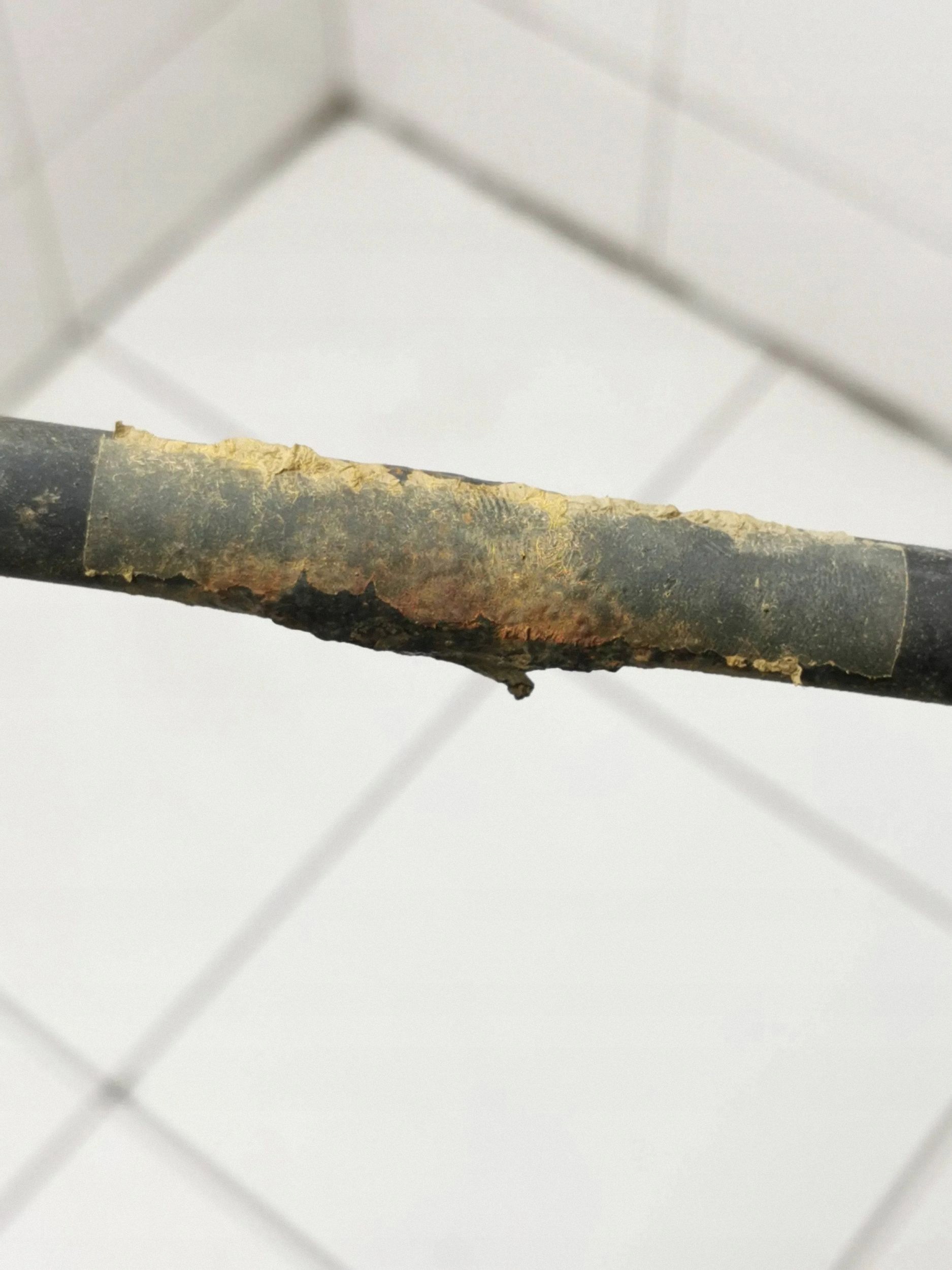 Stabilisateur arrière BMW 5 E60 E61 FRC91209 image 9