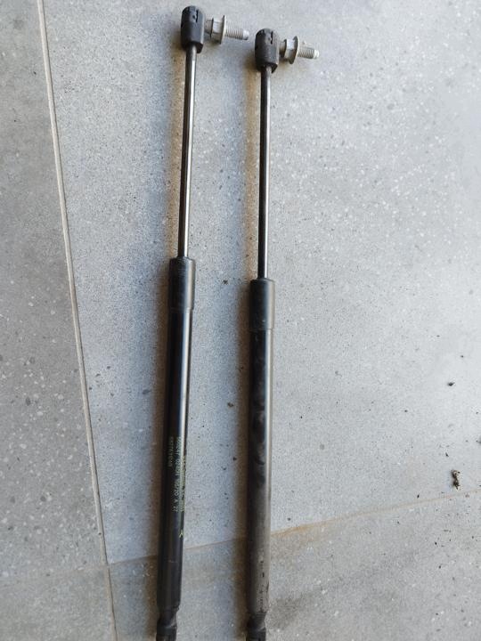 Gasveer motorkap RAM 1500 Classic Crew Cab 68276312AB image 2
