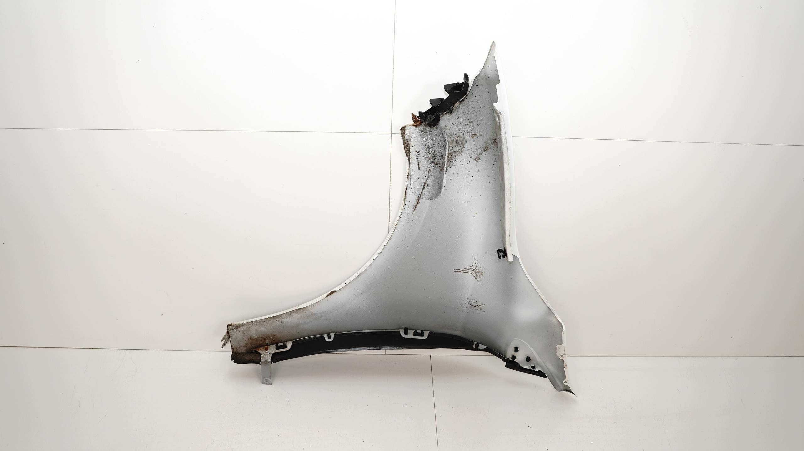 Kotflügel vorne rechts Renault Megane III 08-12 image 10