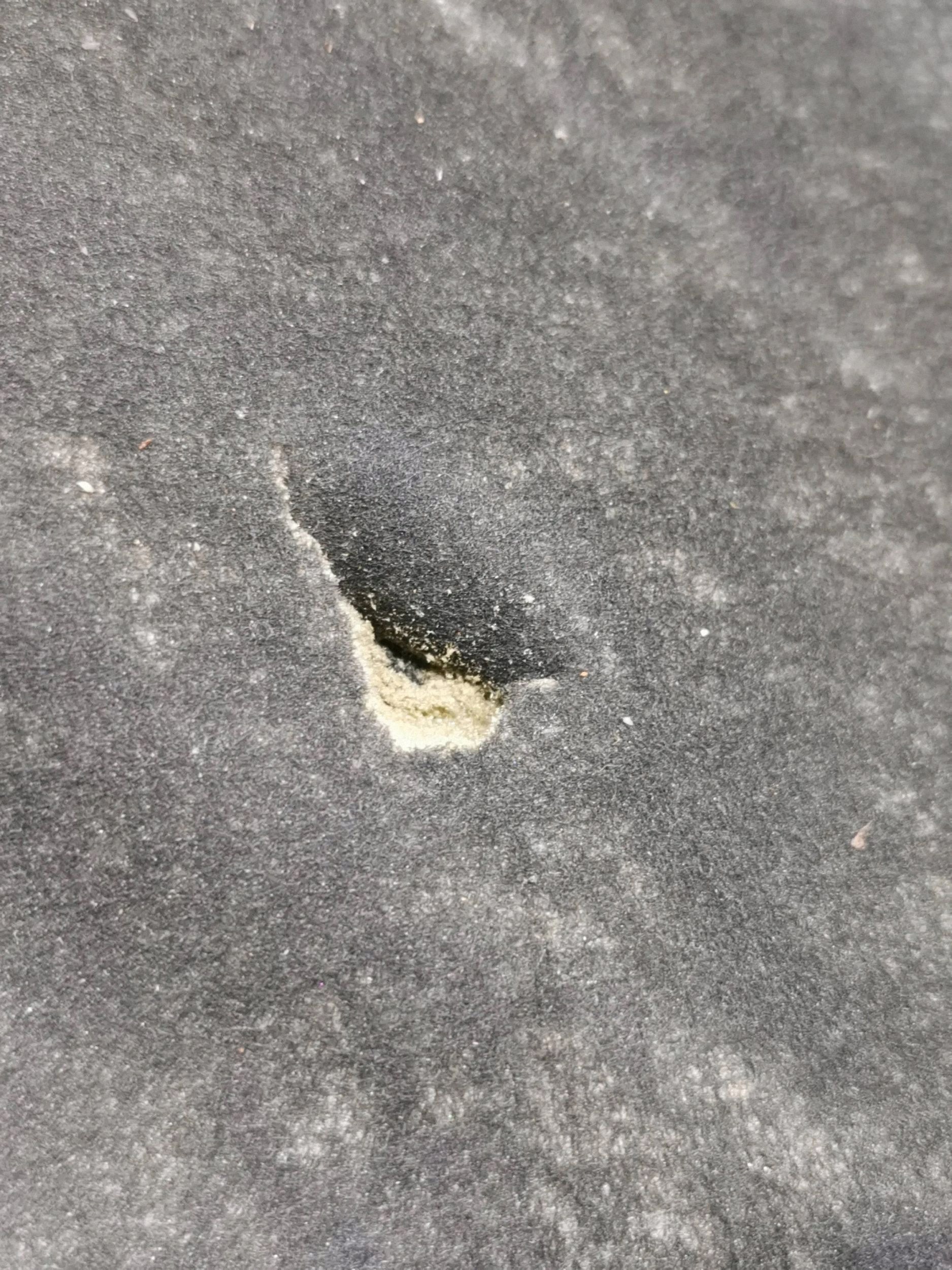 Insulation de capot Audi A6 S6 C6 4F (FRC102663) image 4