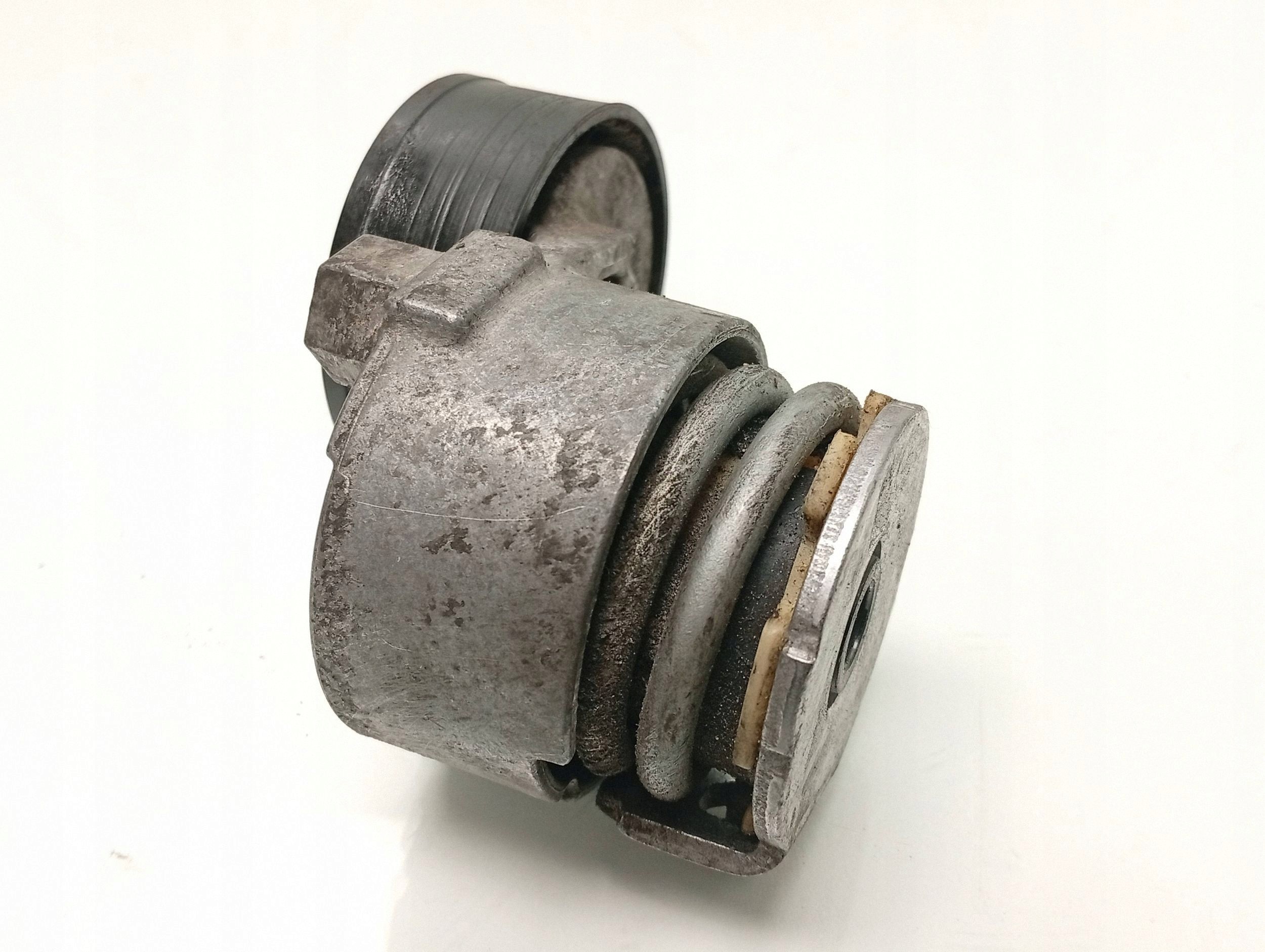 Nissan Qashqai 2010 Napinacz paska alternatora 8200861569