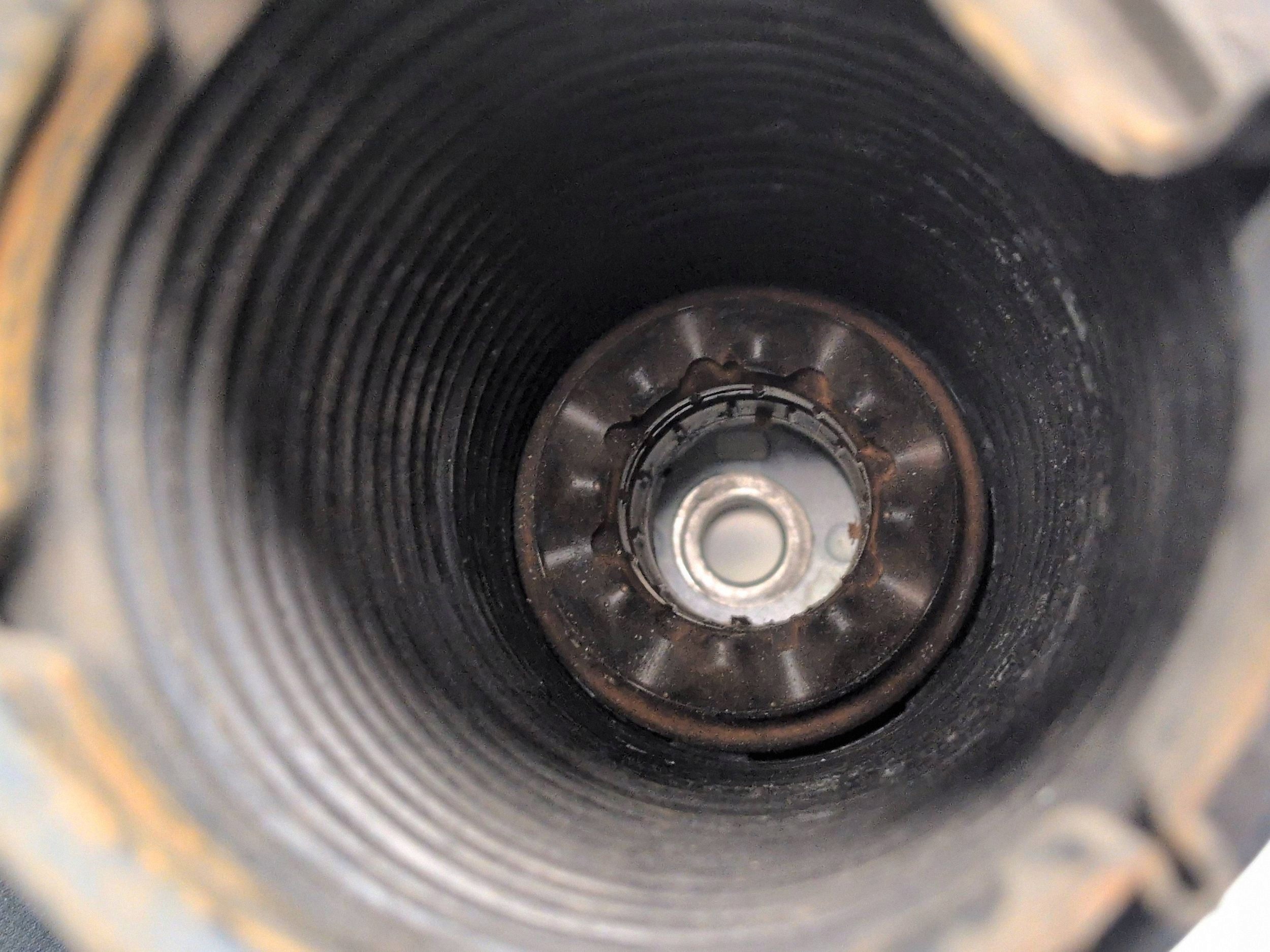 2006 Ford Focus Front Strut Mount F307868629 image 5