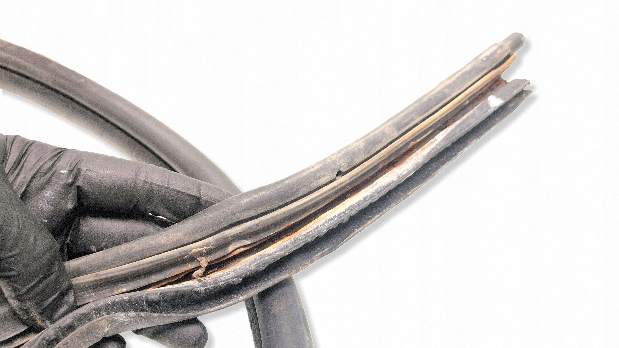 Junta puerta delantera Opel Vivaro 2010 image 3