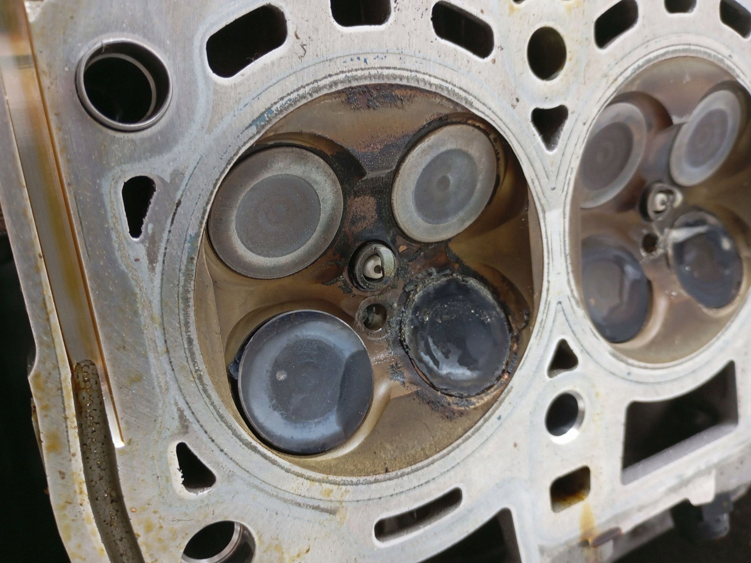 Culasse Mini Cooper F57 2024 - 6424011100898 image 9