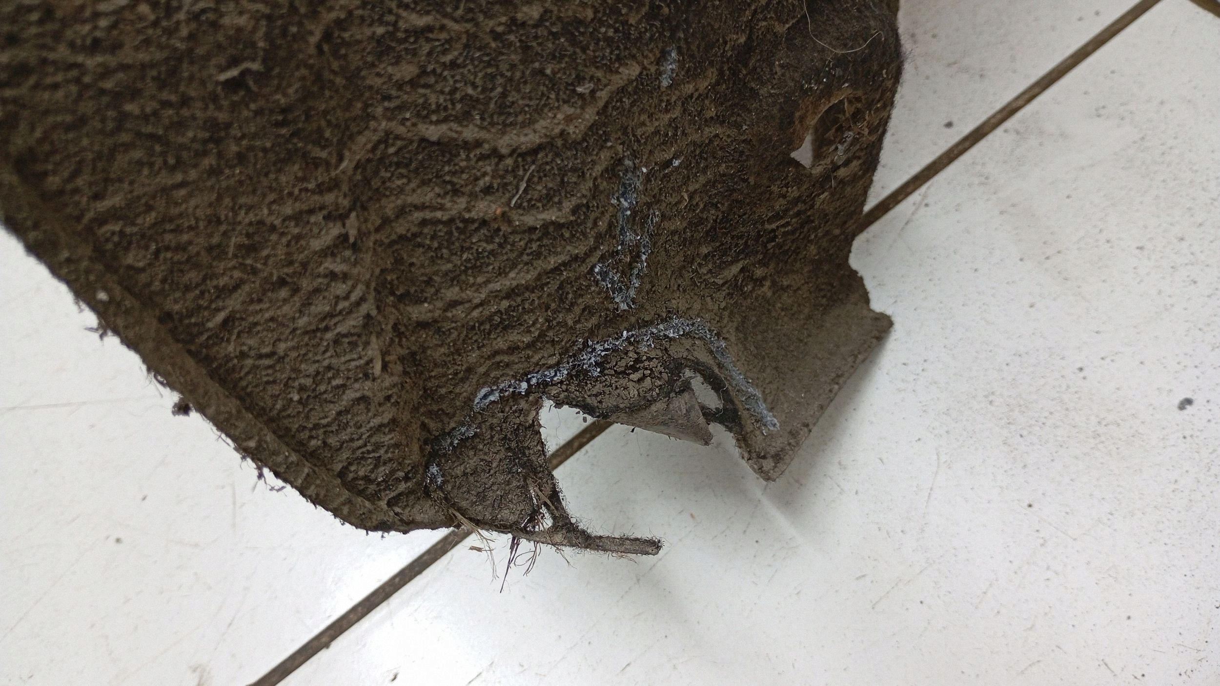 Mini One Cooper Coupe R56 Achterste wielkasten FRC162962 image 6