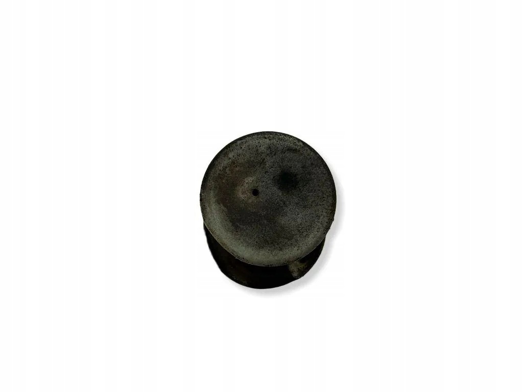 Gummibussning bak Renault Megane II 8200381473 image 4