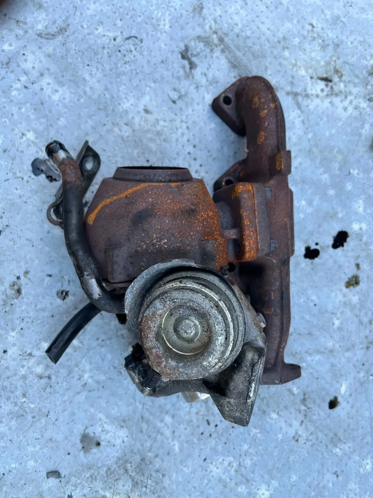 Auspuffkrümmer BMW E46 320 323 325 328 M52 Turbo image 3