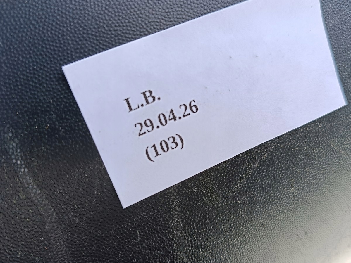 Spoiler arrière Volkswagen Golf V 5 Plus image 4