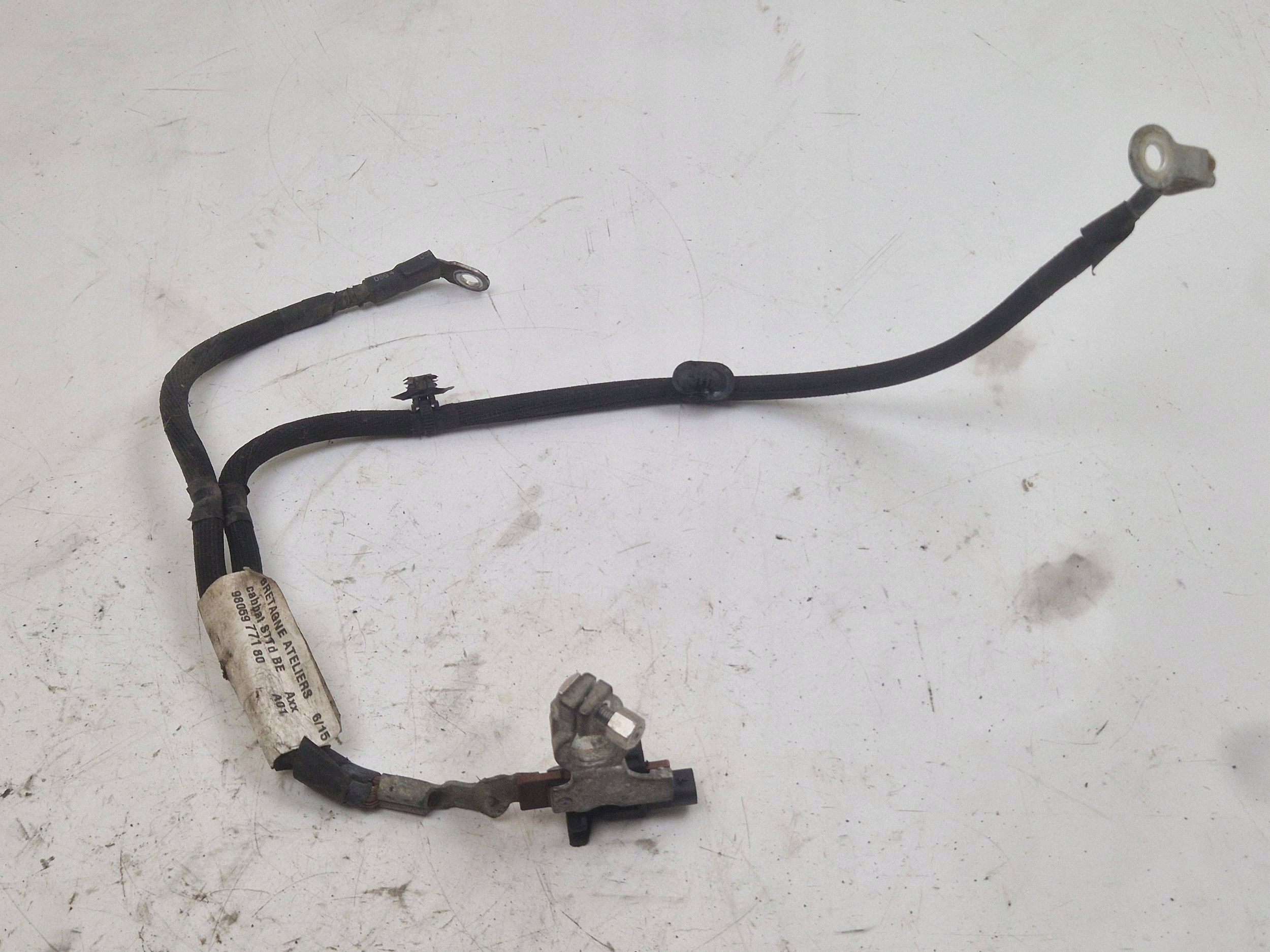 Citroen DS3 2015 Borne négative 9805977180 image 2