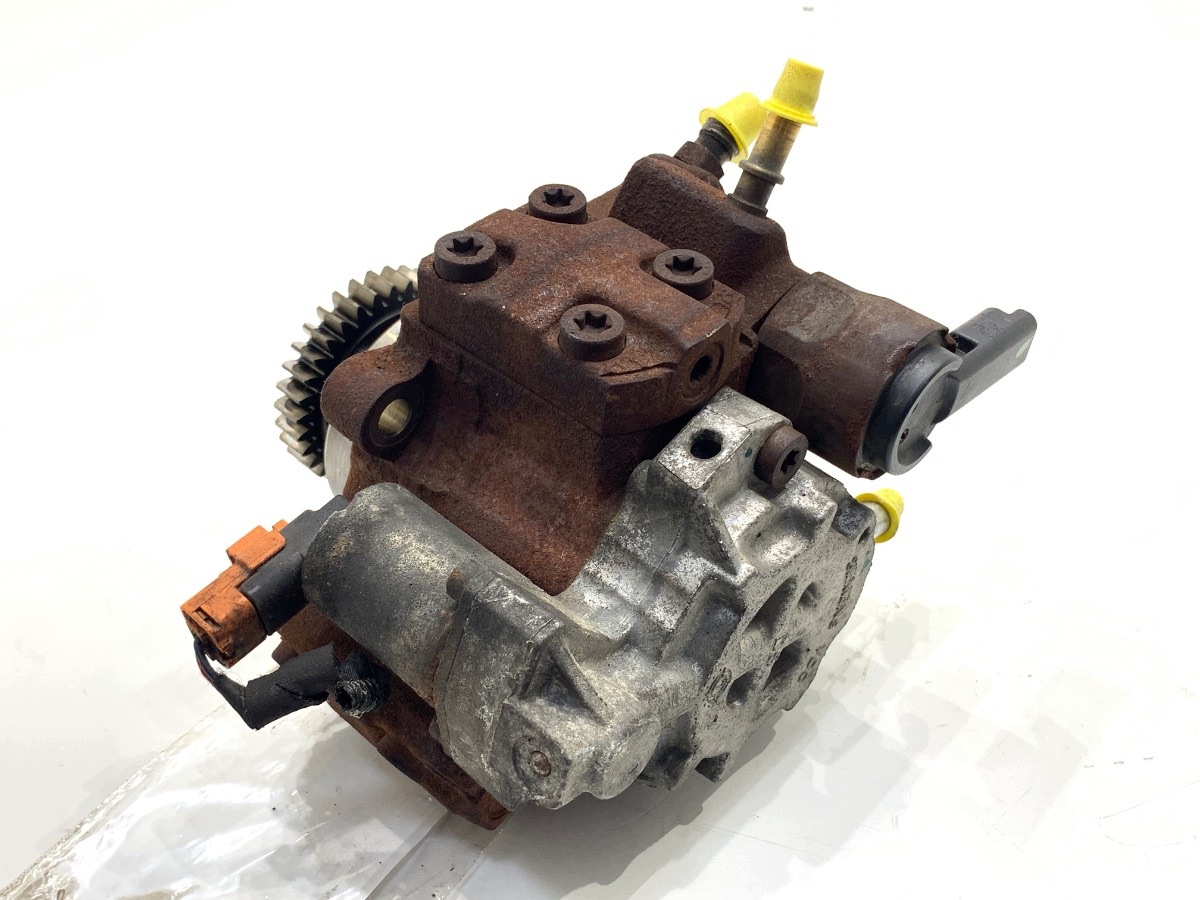 Polttoainepumppu Land Rover Range Rover Sport I