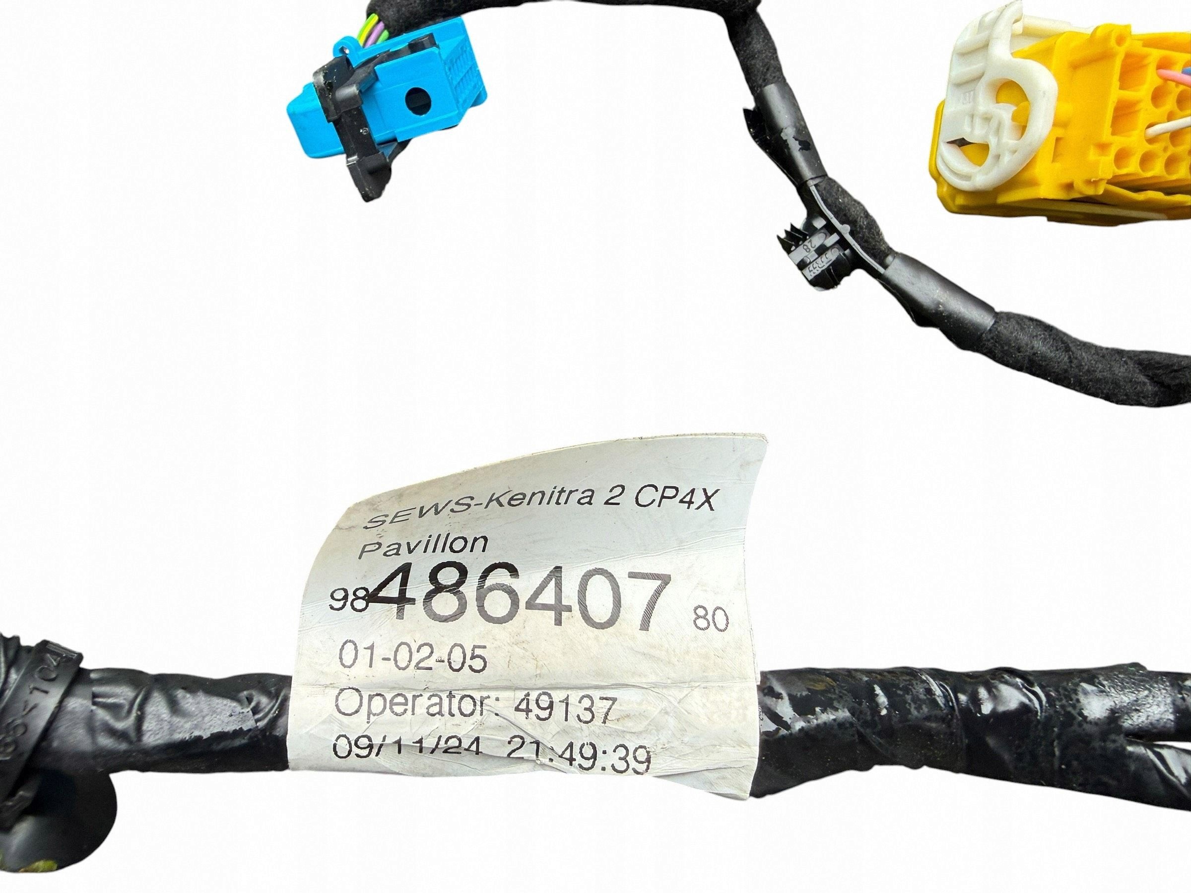 Techo interior Citroen C4X Sedán 98419496UW image 9