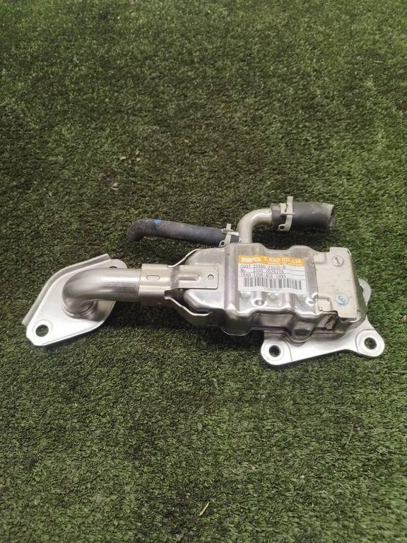 Kühler AGR Toyota 21050026216 2.5L Diesel image 5