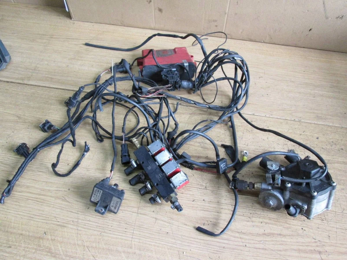 Faisceau GPL pour 4 cylindres, ENP2037