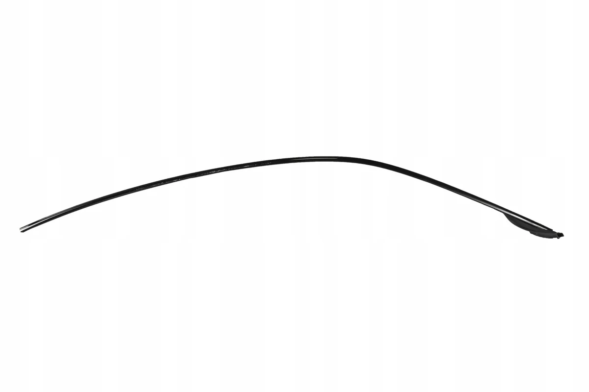 Audi e-tron GT Left Roof Garnish Seal