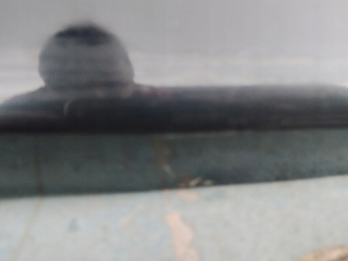 Hayon VW Tiguan 5N 2007-2018 5N0827025G image 3