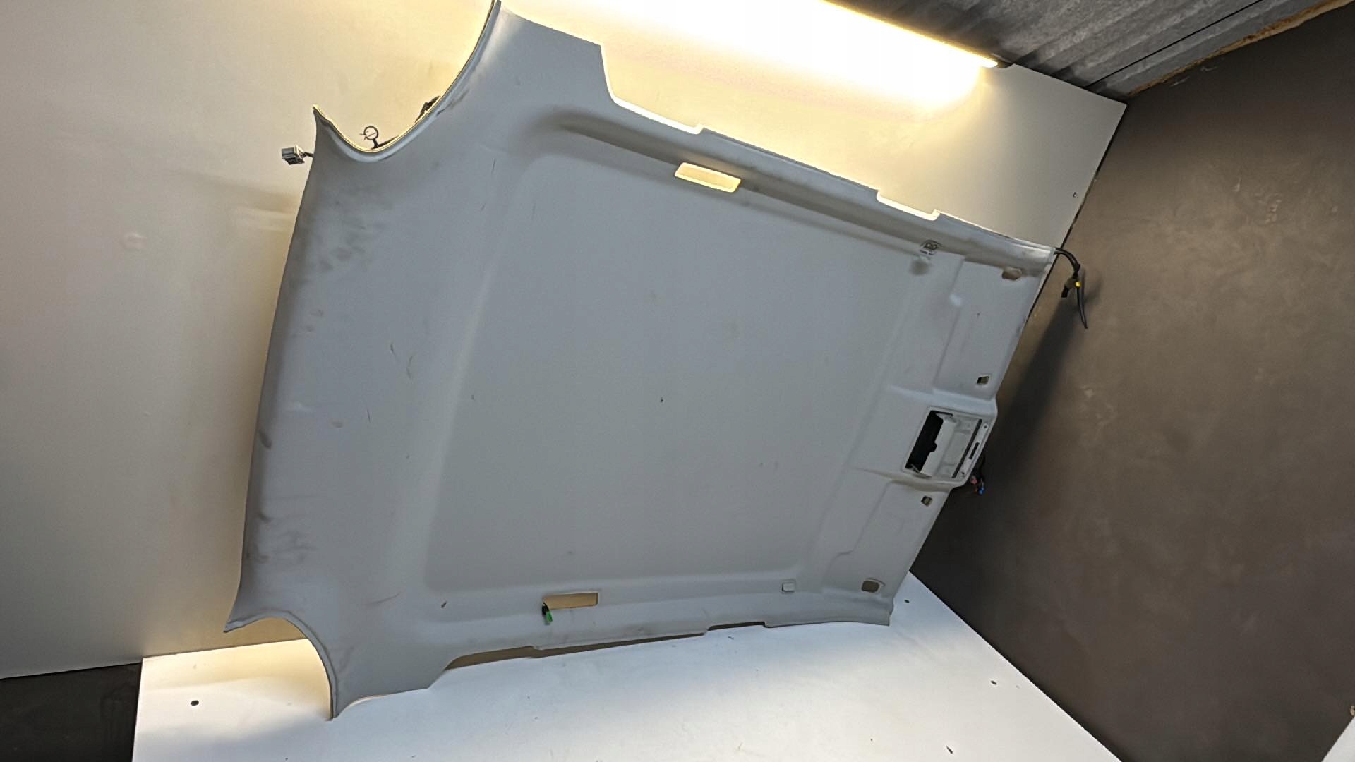 Forro de Teto Land Rover Range Rover Evoque L538 image 9